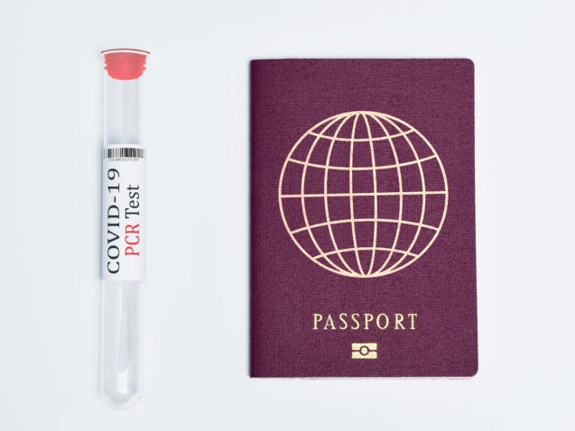 Para *exames médicos e vacinas exigidos pelos países*, é crucial verificar as regulamentações sanitárias do destino e de qual