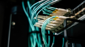 Para manter contato com pessoas do mundo todo e construir um networking internacional sólido, utilize plataformas profissiona