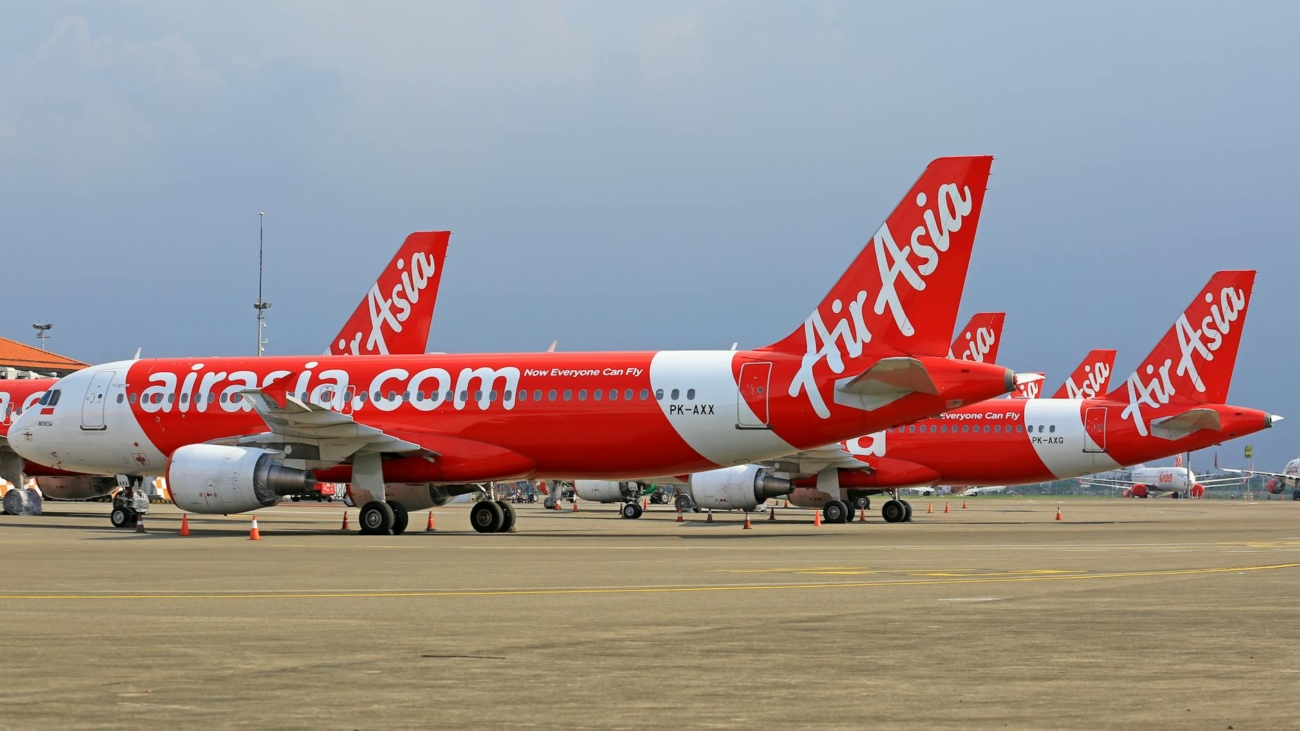 Para levar seu cachorro ou gato no intercâmbio, é fundamental um planejamento rigoroso que envolve vacinação atualizada, micr