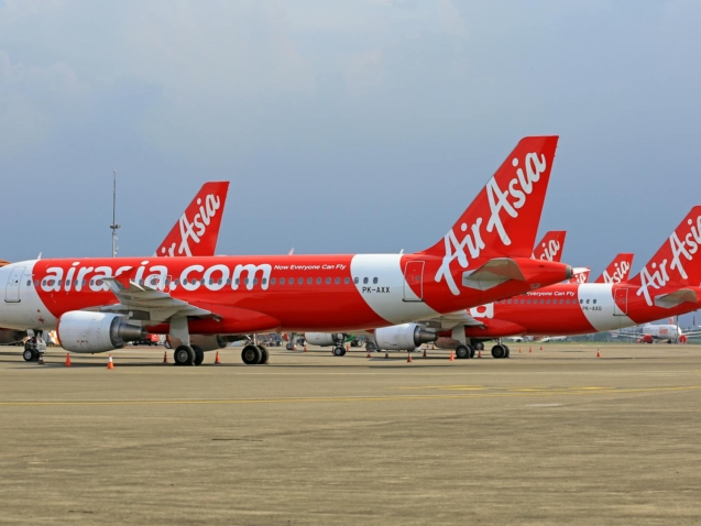 Para levar seu cachorro ou gato no intercâmbio, é fundamental um planejamento rigoroso que envolve vacinação atualizada, micr